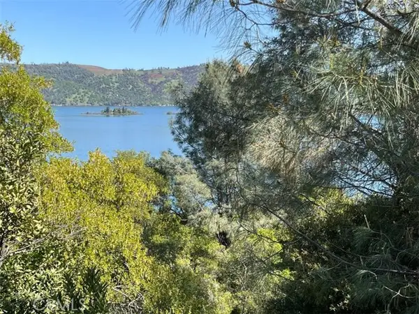 8452 Soda Bay Road, Kelseyville, CA 95451