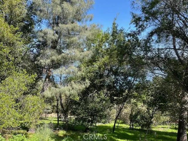 8444 Soda Bay Road, Kelseyville, CA 95451 - Image #2
