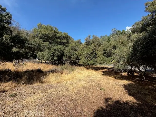 10789 Harbor Road, Kelseyville, CA 95451 - Image #3