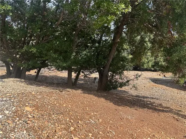 8146 Broadview Drive, Kelseyville, CA 95451 - Image #3