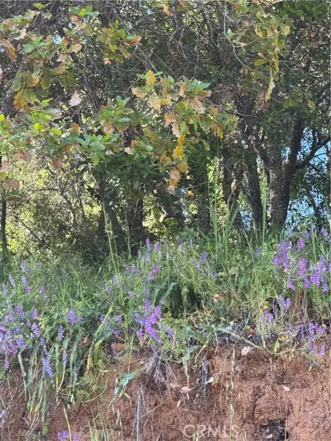 6705 Floyd Way, Nice, CA 95464 - Image #3