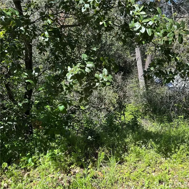 6972 Floyd Way, Nice, CA 95464 - Image #1