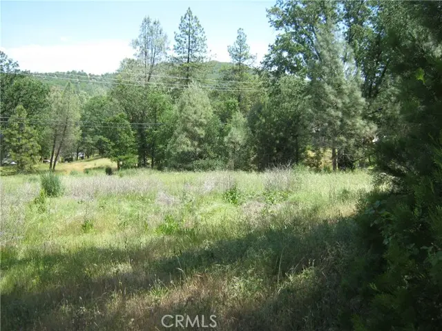 23670 West Road, Middletown, CA 95461 - #2