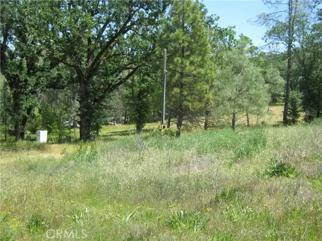 23670 West Road, Middletown, CA 95461 - #3