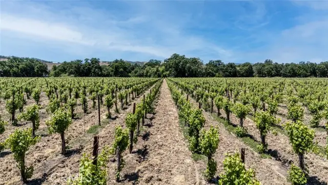 270 Soda Bay Road, Lakeport, CA 95453 - #2