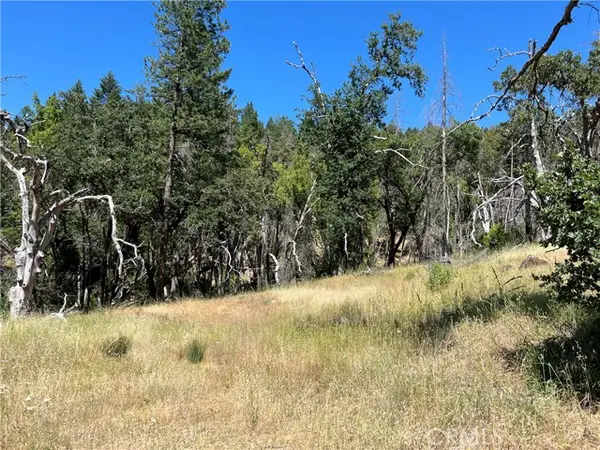 20925 Mid Mountain (17n17 Usfs) Road, Upper Lake/ Upper Lake Valley, CA 95469
