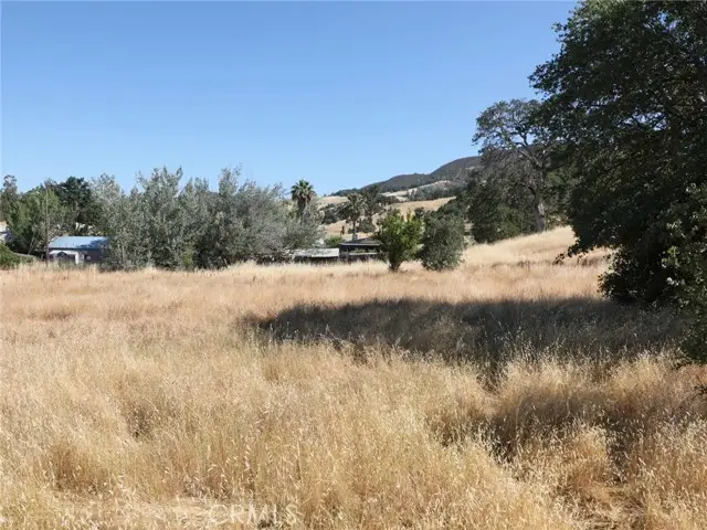 7295 Wilson Street, Nice, CA 95464 - #3