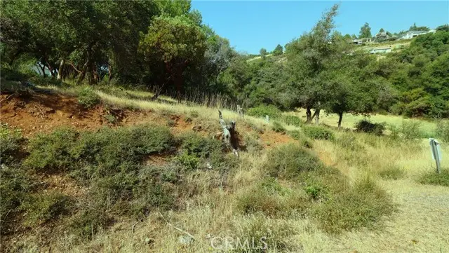 9523 Tenaya Way, Kelseyville, CA 95451 - Image #3