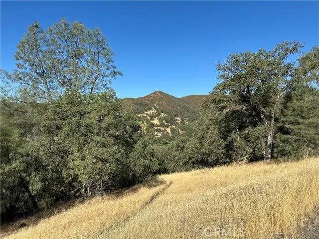 3265 Wolf Creek Road, Clearlake Oaks, CA 95423 - #1