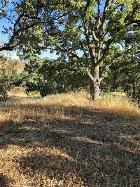 728 Watertrough Road, Clearlake Oaks, CA 95423 - Image #3