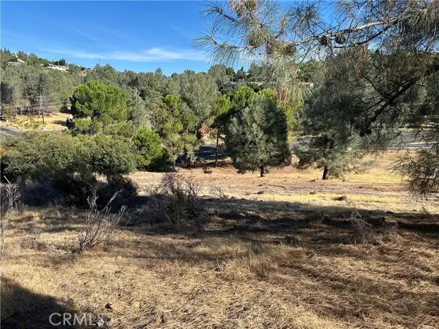 9658 Fairway Drive, Kelseyville, CA 95451 - Image #3