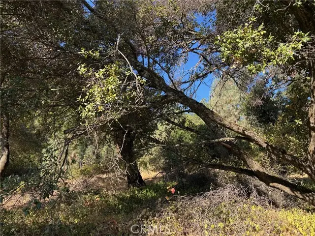 12588 Widgeon Way, Clearlake Oaks, CA 95423 - Image #3