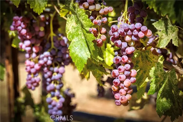 1720 E. Highway 20, Upper Lake Nice, CA 95485 - Image #3