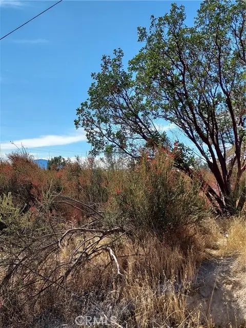 16301 11th Avenue, Clearlake, CA 95422 - Image #1