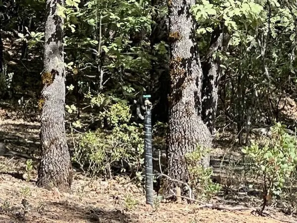 9208 Diamond Dust, Kelseyville, CA 95451