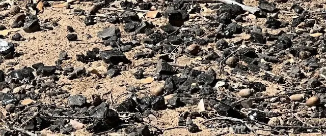 9208 Diamond Dust, Kelseyville, CA 95451 - #3