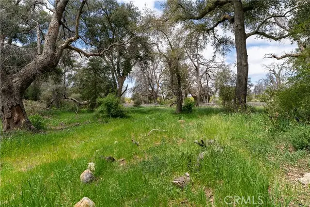 29972 Chihuahua Valley Road, Warner Springs, CA 92086 - #3