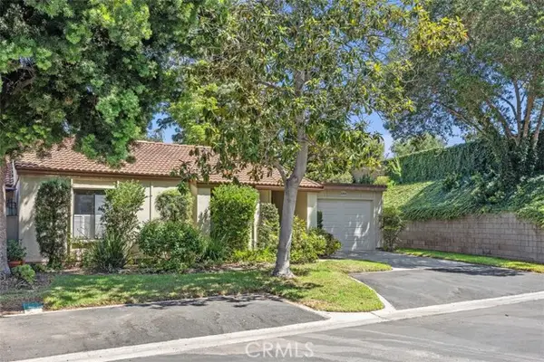 3205 Via Buena Vista #D, Laguna Woods, CA 92637