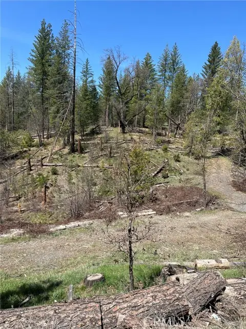 6493 Greeley Hill Road, Coulterville, CA 95311