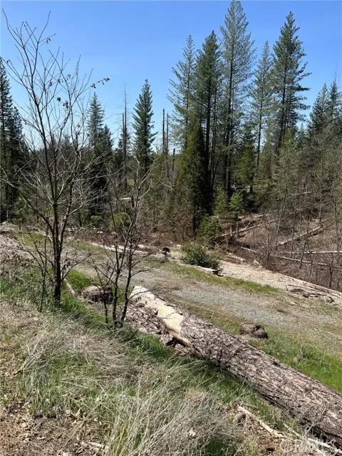 6493 Greeley Hill Road, Coulterville, CA 95311 - #3