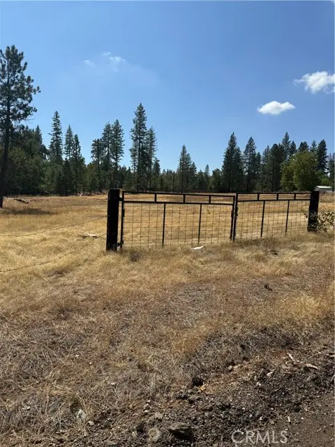 6479 Pine Drive, Coulterville, CA 95311