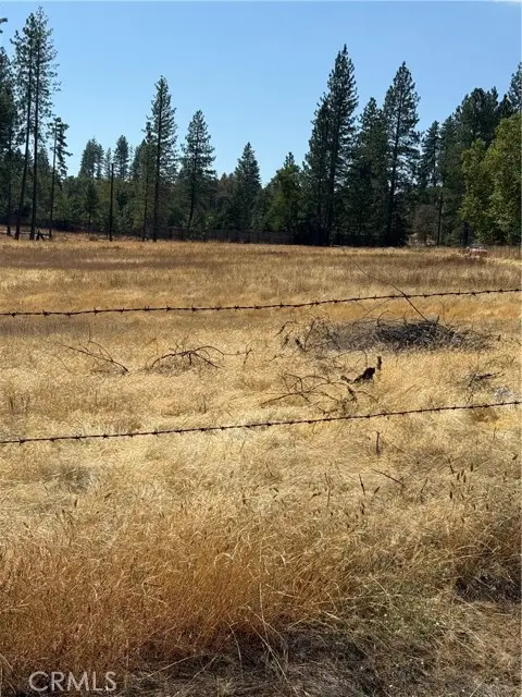 6479 Pine Drive, Coulterville, CA 95311 - #3