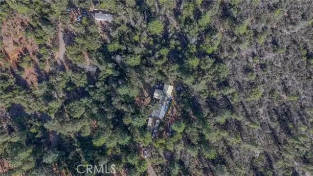 10038 Holtzel, Coulterville, CA 95311 - #2