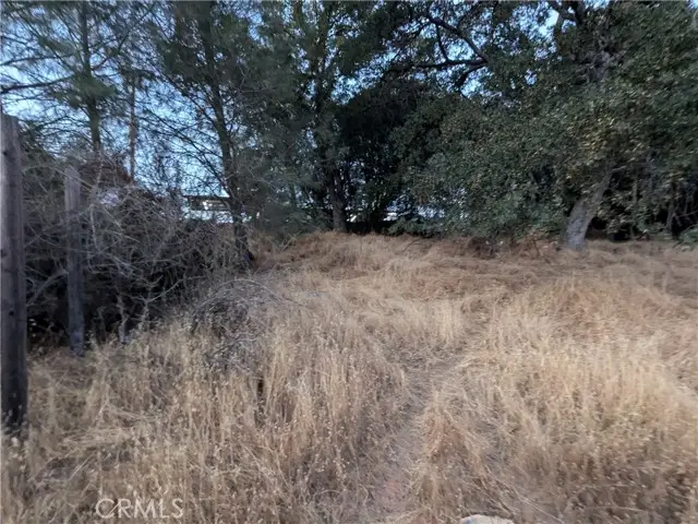 0 Joe Howard Street, Mariposa, CA 95338 - #3