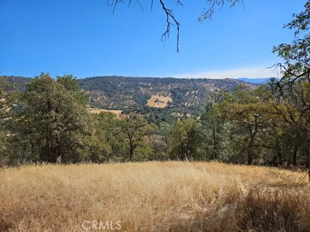 5640 Blue Oak Ridge Road, Mariposa, CA 95338 - Image #3