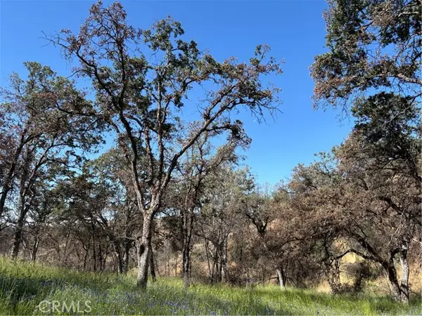 5358 Mariposa Heights Road, Mariposa, CA 95338