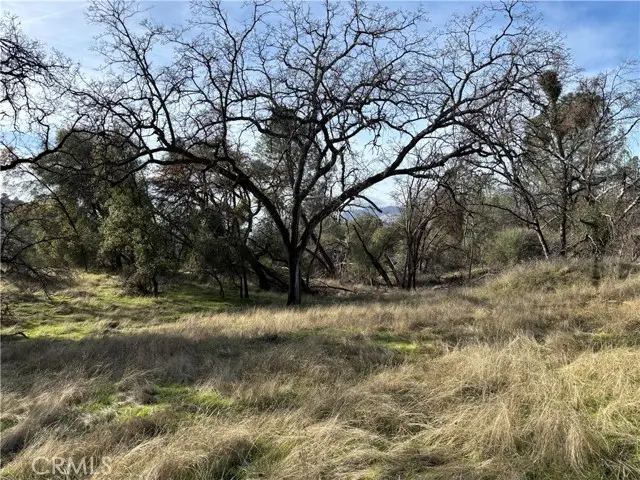 0 Daffodil Drive, Mariposa, CA 95338 - Image #1