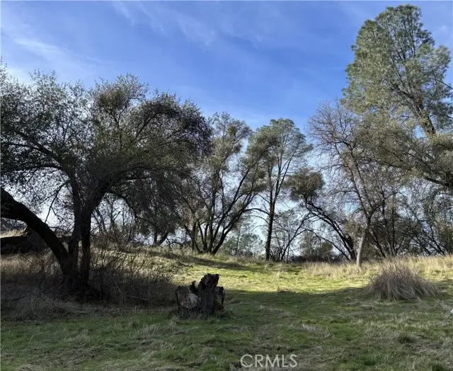 0 Daffodil Drive, Mariposa, CA 95338 - Image #3