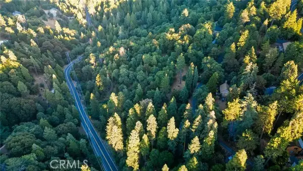 0 Trillium Way, Berry Creek, CA 95916