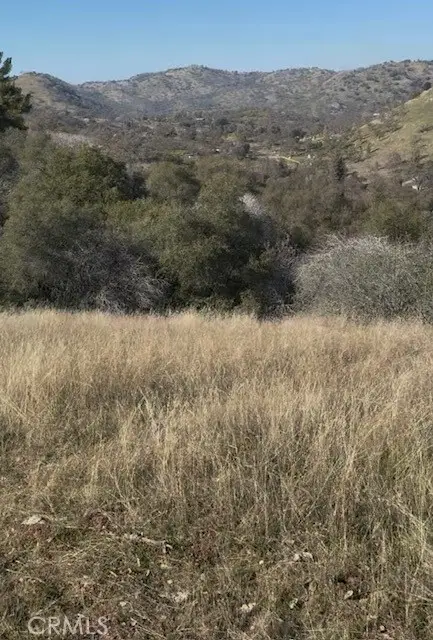 0 Chuckwagon Road, Squaw Valley, CA 93675 - #2