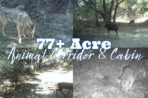 28618 Chihuahua Valley Road, Warner Springs, CA 92086