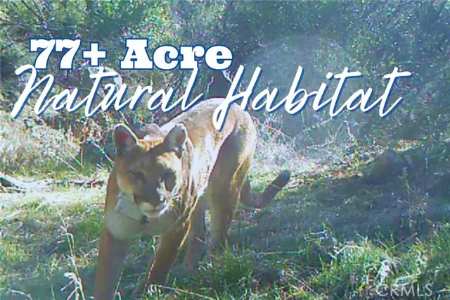 28618 Chihuahua Valley Road, Warner Springs, CA 92086 - Image #2