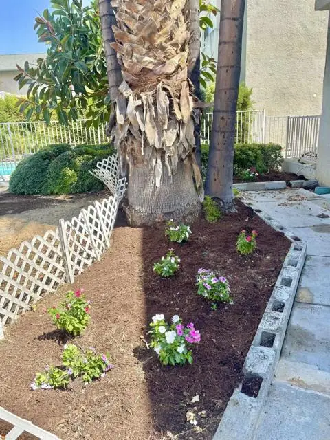 20920 Community Street #7, Canoga Park, CA 91304 - Image #3