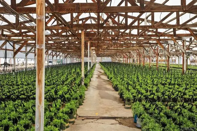 Cassou Road, San Marcos, CA 92069 - Image #1