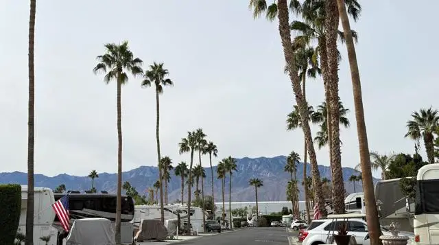 69411 Ramon Rd #91, Cathedral City, CA 92234 - Image #3