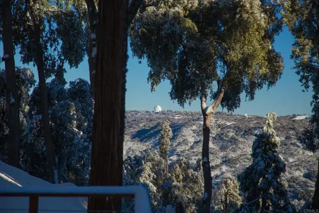 22234 Crestline Road, Palomar Mountain, CA 92060 - #3