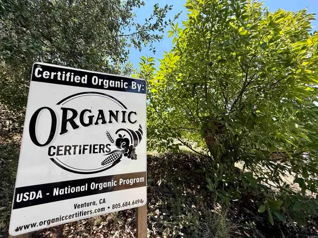 3137 E Valley Parkway, Escondido, CA 92027 - #2