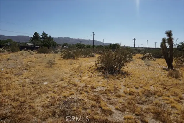 6101 Scenic Drive, Joshua Tree, CA 92252 - #1