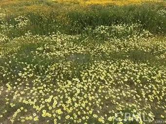 0 Briar Road, California Valley, CA 93453 - Image #2