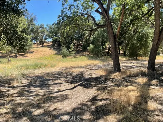 8 Championship Lane, Templeton, CA 93465 - #3