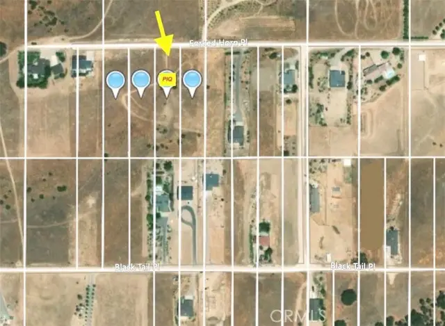 5920 Forked Horn Place, Paso Robles, CA 93446 - #3