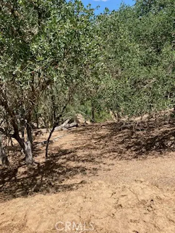 2668 Pine Ridge Road, Bradley, CA 93426 - Image #2