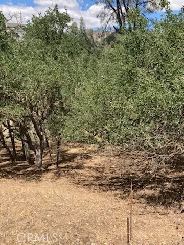 2668 Pine Ridge Road, Bradley, CA 93426 - Image #3