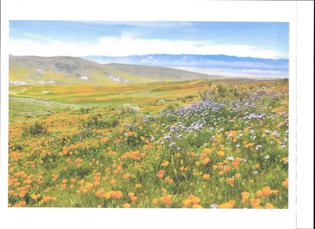 0 Cooperstown Rd, California Valley, CA 93453 - Image #1