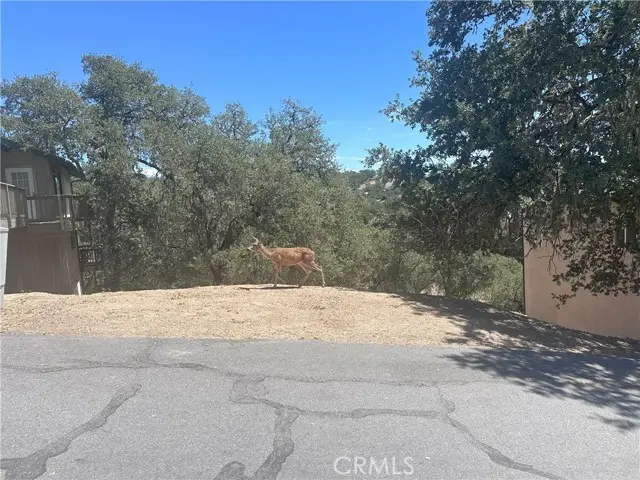 2434 Stern Deck Road, Bradley, CA 93426 - #2