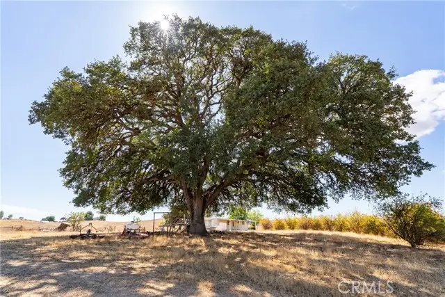 27 Wellsona Road, Paso Robles, CA 93446 - #1